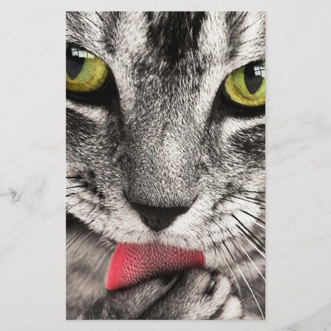 Tabby katt Slickande Tass Brevpapper (Framsida)