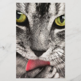 Tabby katt Slickande Tass Brevpapper