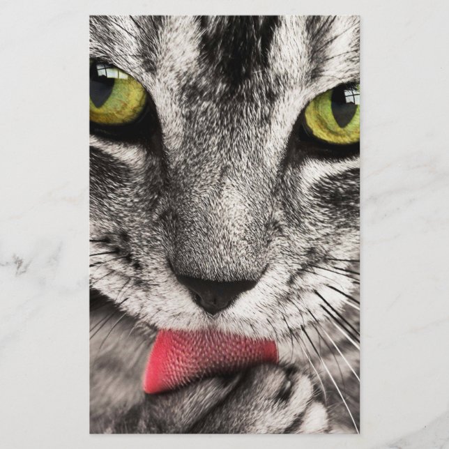 Tabby katt Slickande Tass Brevpapper (Framsida)