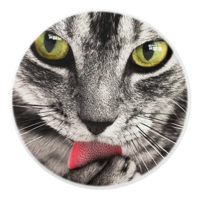 Tabby katt Slickande Tass Knopp (Framsidan)