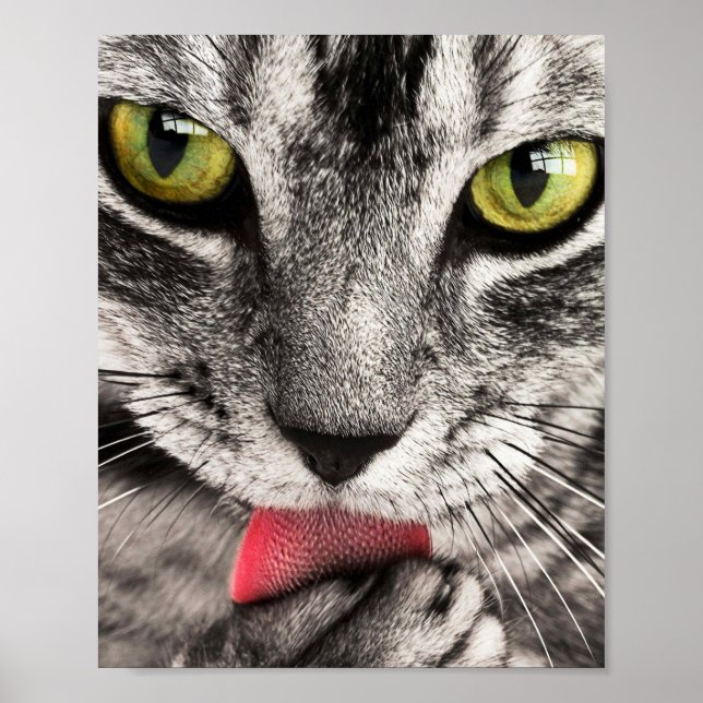 Tabby katt Slickande Tass Poster (Framsidan)