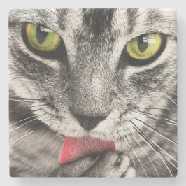 Tabby katt Slickande Tass Stenunderlägg