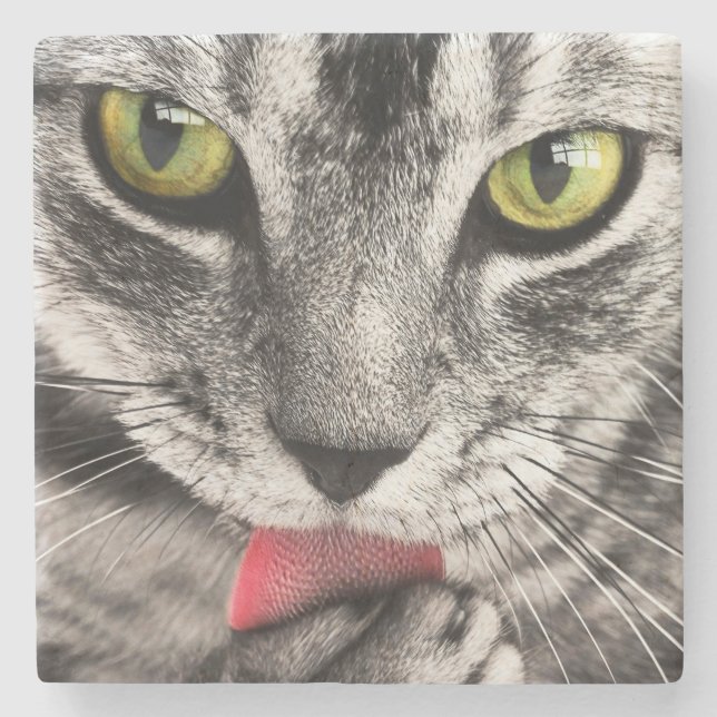 Tabby katt Slickande Tass Stenunderlägg (Framsidan)