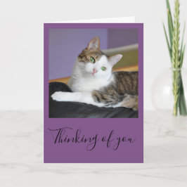 Tabby katt som är tänkande av dig, card kort