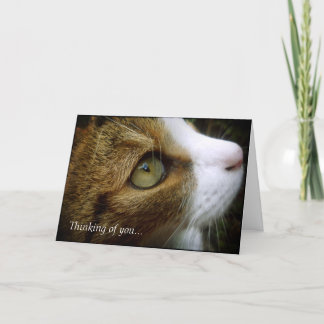 Tabby katt - som är tänkande av dig, Card Kort