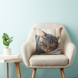 Tabby katt som sover på gammal vind kudde