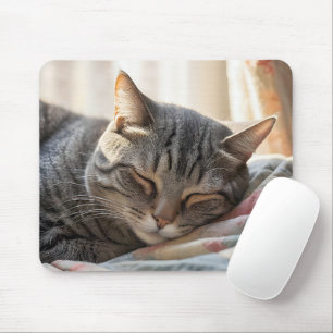 Tabby katt som sover på gammal vind musmatta