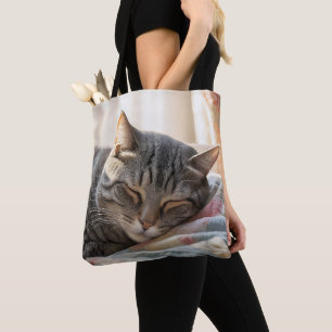 Tabby katt som sover på gammal vind tygkasse