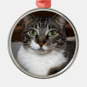 Tabby katt som tittar dig foto julgransprydnad metall