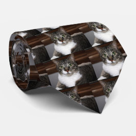 Tabby katt som tittar dig slips