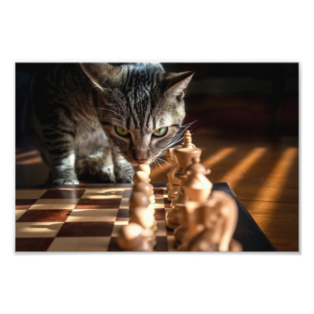 Tabby katt spelar schess fototryck (Framsidan)