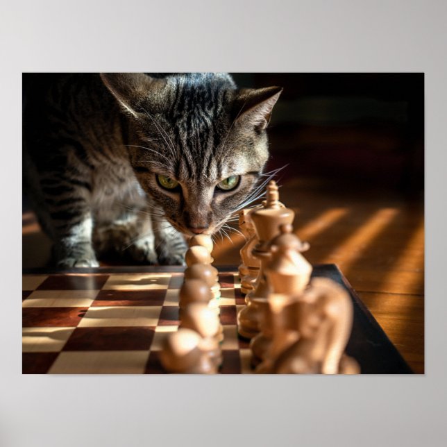 Tabby katt spelar schess poster (Framsidan)