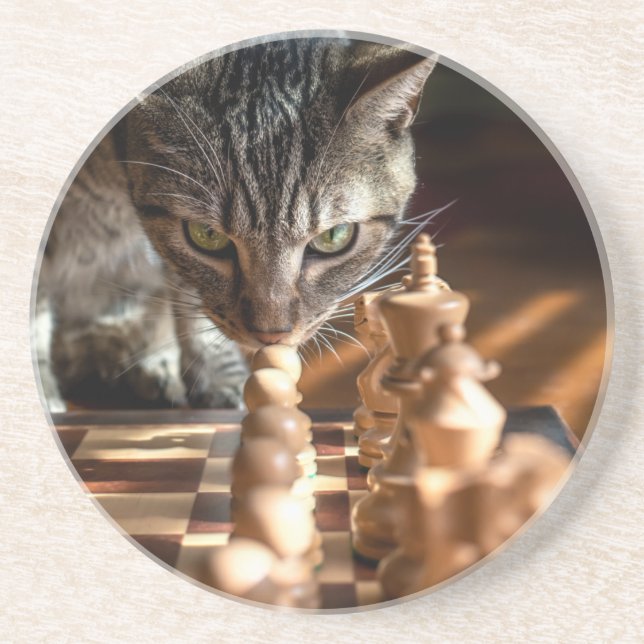 Tabby katt spelar schess underlägg (Framsidan)