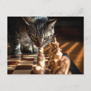 tabby katt spelar schess vykort