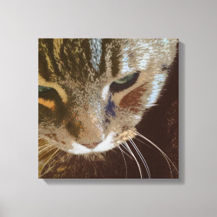 Tabby katt Stäng arbetsytan med Wrapped Canvas
