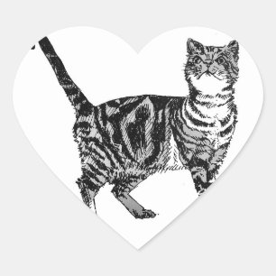 Tabby katt Stickers Cute Pets Kattstreck Sätt Hjärtformat Klistermärke