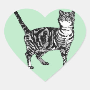 Tabby katt Stickers Mint Cute Cute Pets Sticker Se Hjärtformat Klistermärke