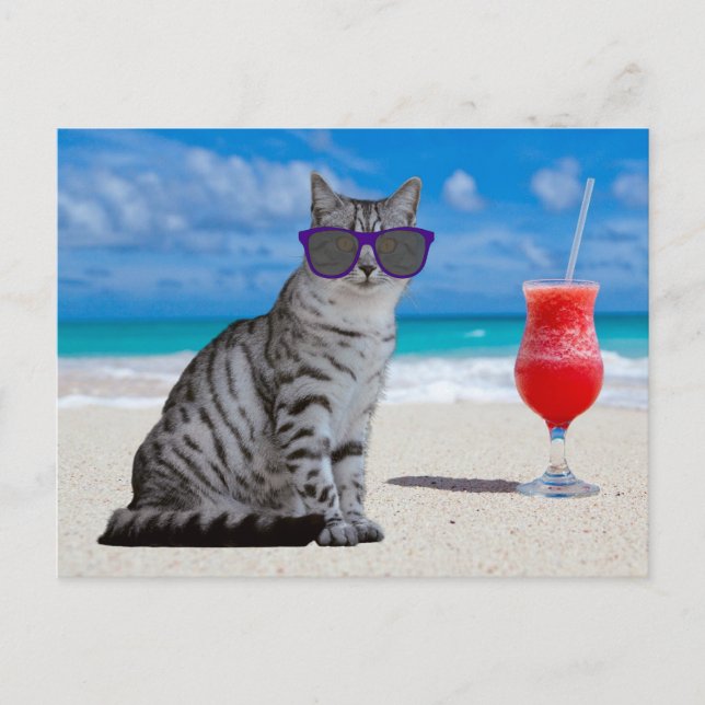 TABBY KATT SUNLASSER PÅ BEVARA POSTCARDS VYKORT (Framsida)