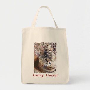 TABBY KATT TYGKASSE