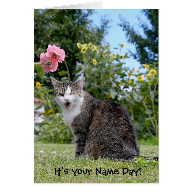 tabby katt under namn-dagen hälsningskort (Framsidan)