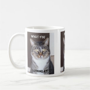 Tabby katt vad dig, tittar kaffemugg
