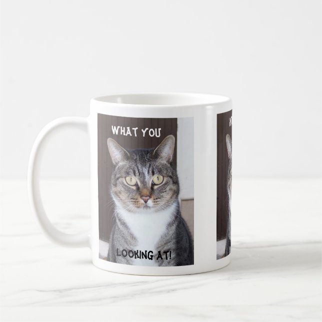 Tabby katt vad dig, tittar kaffemugg (Vänster)