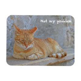 Tabby katt vilar i Dubrovnik Inte mitt problem! Magnet