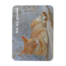 Tabby katt vilar i Dubrovnik Inte mitt problem! Magnet