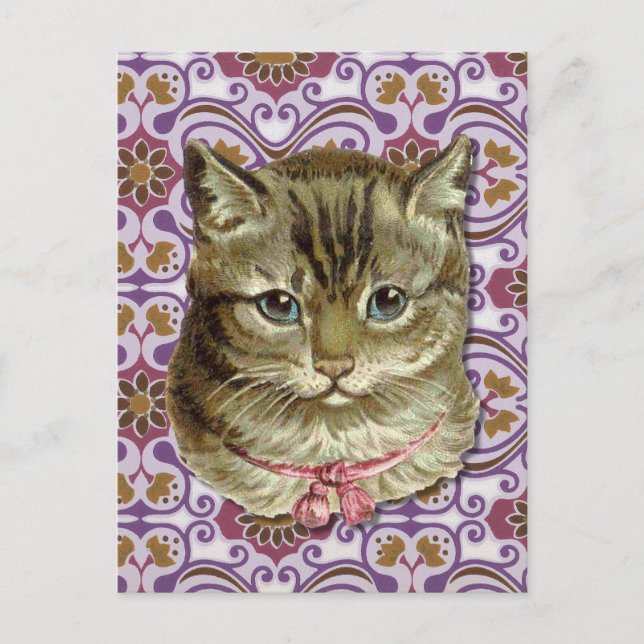 Tabby katt vykort (Framsida)