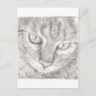 tabby katt vykort