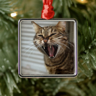 Tabby katt Yawning Artistic Porträtt Julgransprydnad Metall