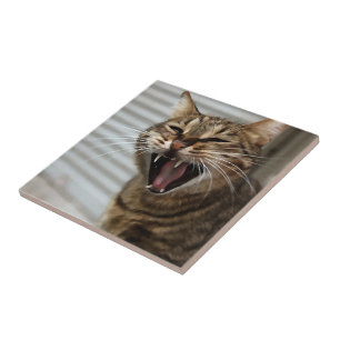 Tabby katt Yawning Artistic Porträtt Kakelplatta