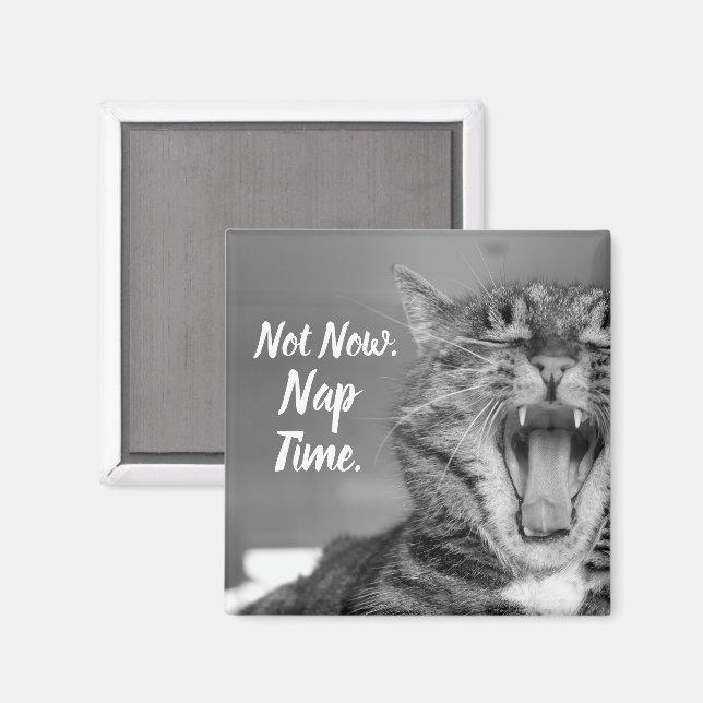 Tabby katt Yawning, inte nu Nap-tid Magnet (Front/Back)