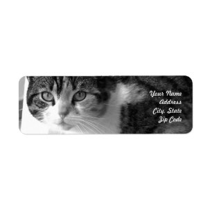 Tabby kattadressetiketter returadress etikett