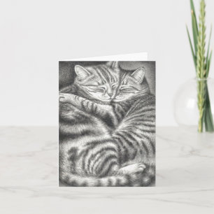 TABBY KATTAFFEKTION KORT