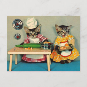 tabby Kattchef och kattassistent Vykort