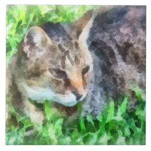 Tabby kattCloseup Kakelplatta