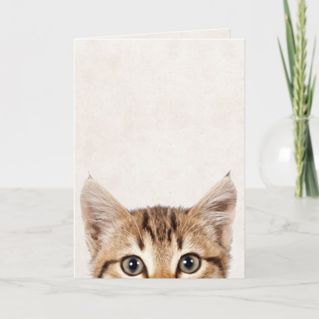 Tabby kattfödelsedagen humor kort (Framsida)