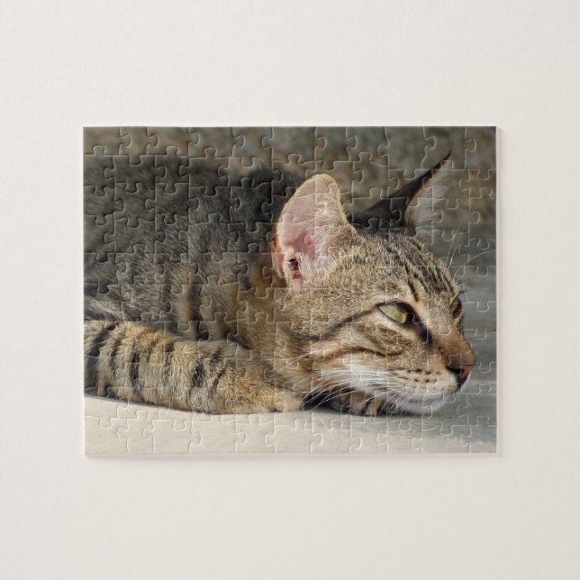 Tabby kattJigsaw Pussel (Horisontell)