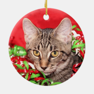 Tabby kattjul julgransprydnad keramik