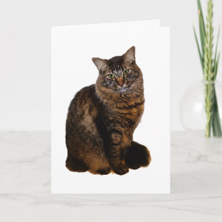 Tabby Kattkort - Tomt Inuti Kort