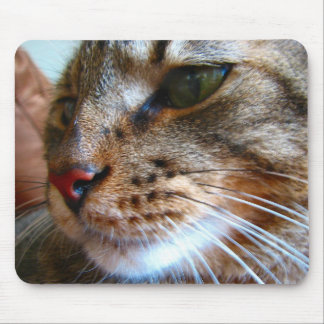 Tabby kattmousepad musmatta