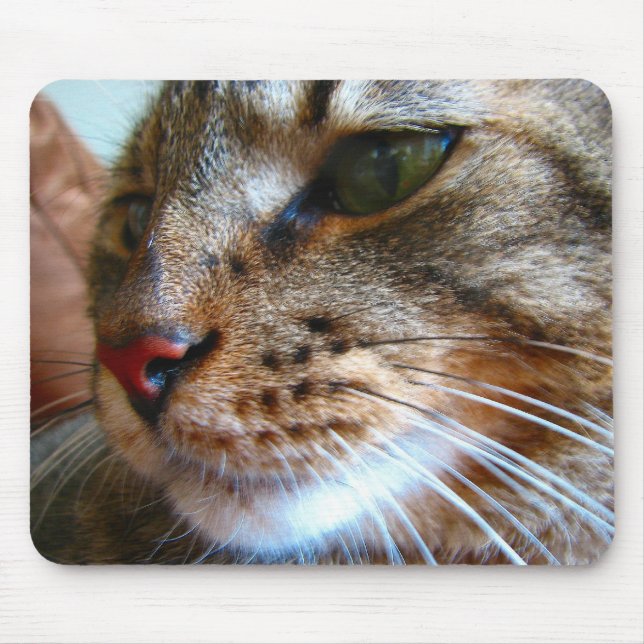 Tabby kattmousepad musmatta (Framsidan)