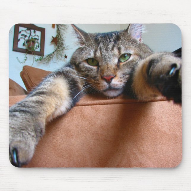 Tabby kattmousepad musmatta (Framsidan)