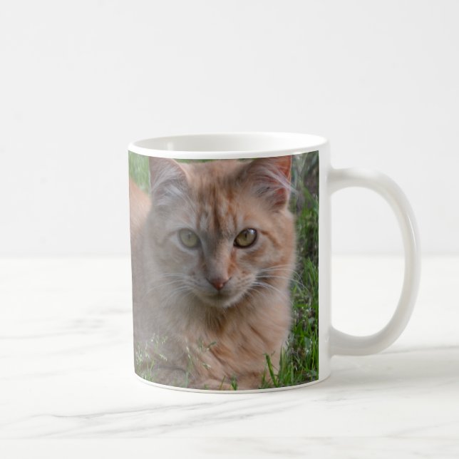 Tabby kattorange kaffemugg (Höger)