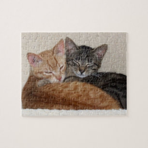 Tabby kattpussel pussel