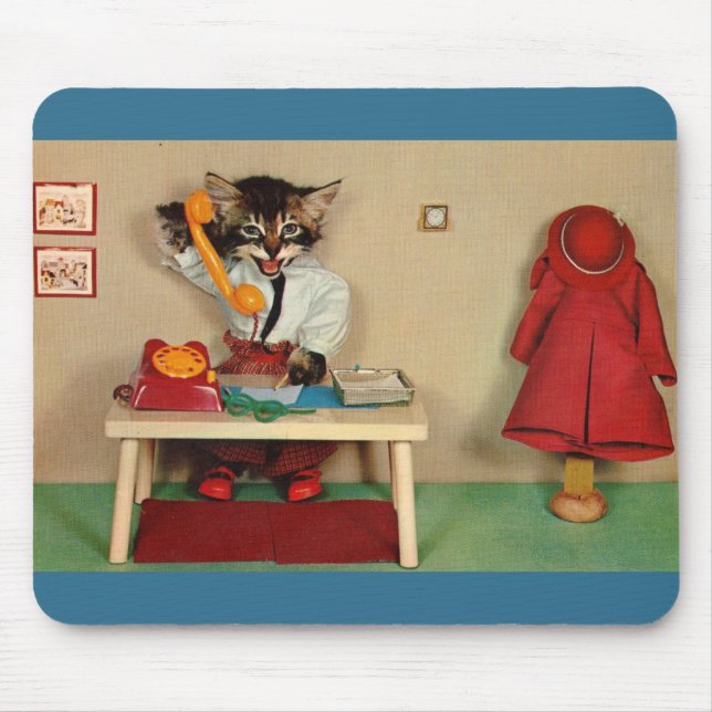 tabby kattsekreterare RPPC Musmatta (Framsidan)