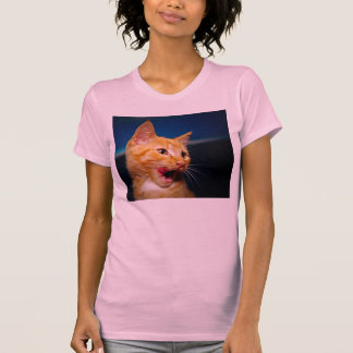 Tabby kattT-tröja Tee Shirt