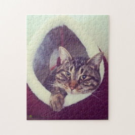 Tabby Kattunge i ett foto med hut-närbild Pussel