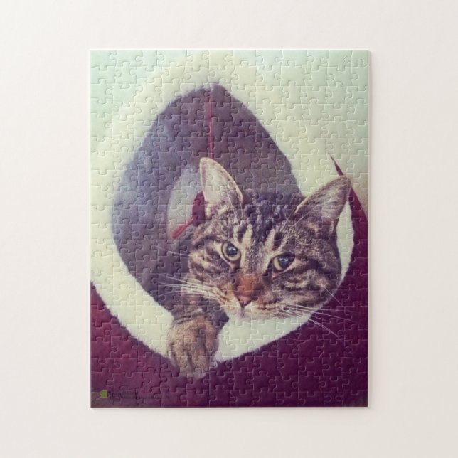 Tabby Kattunge i ett foto med hut-närbild Pussel (Vertikal)